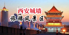 硬射了骚双飞中出中国陕西-西安城墙旅游风景区