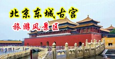 大黄特黄片强奸中国北京-东城古宫旅游风景区