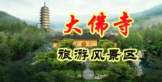 巨吊双飞Ⅴa中国浙江-新昌大佛寺旅游风景区